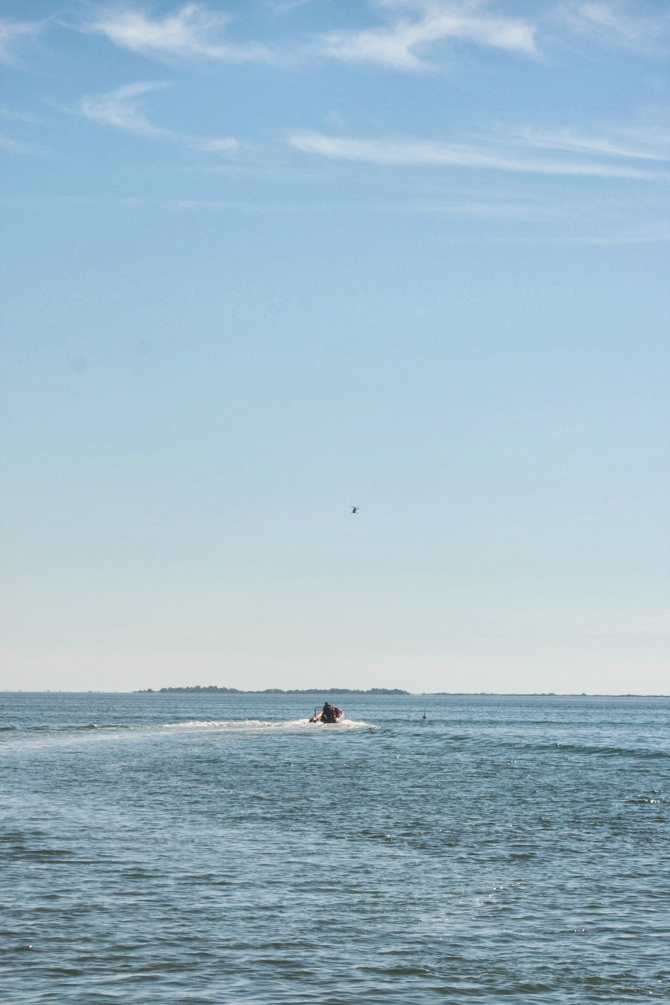 JellyFish-23-Oct-2012_UAS_I