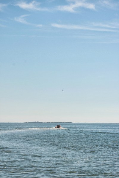 JellyFish-23-Oct-2012_UAS_I