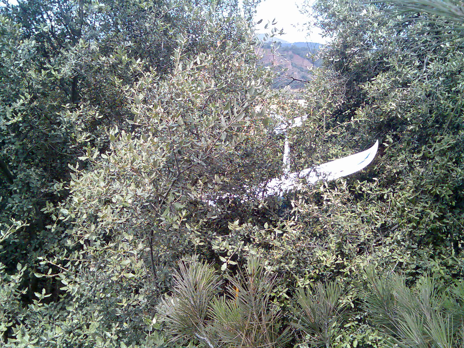 Glider Crash